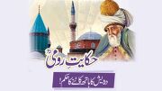 rumi-derwaish-ka-haath-katana-jpg.jpg